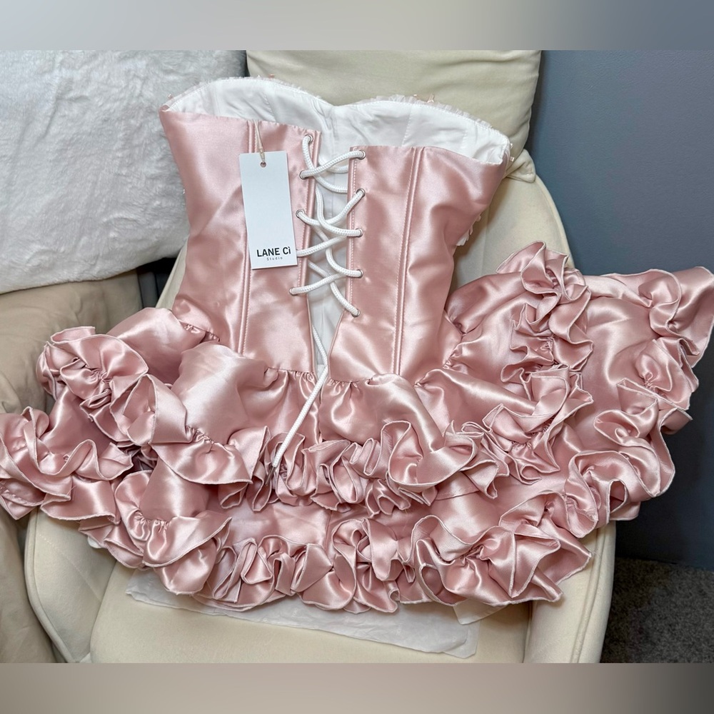 LANE CI Pink Satin Corset Mini Dress Bloomers Ruffle Strapless Ballet Style NWT - Picture 3 of 8